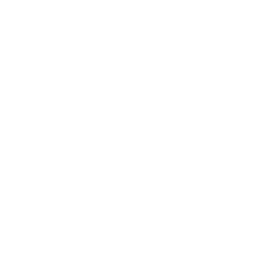 byd logo