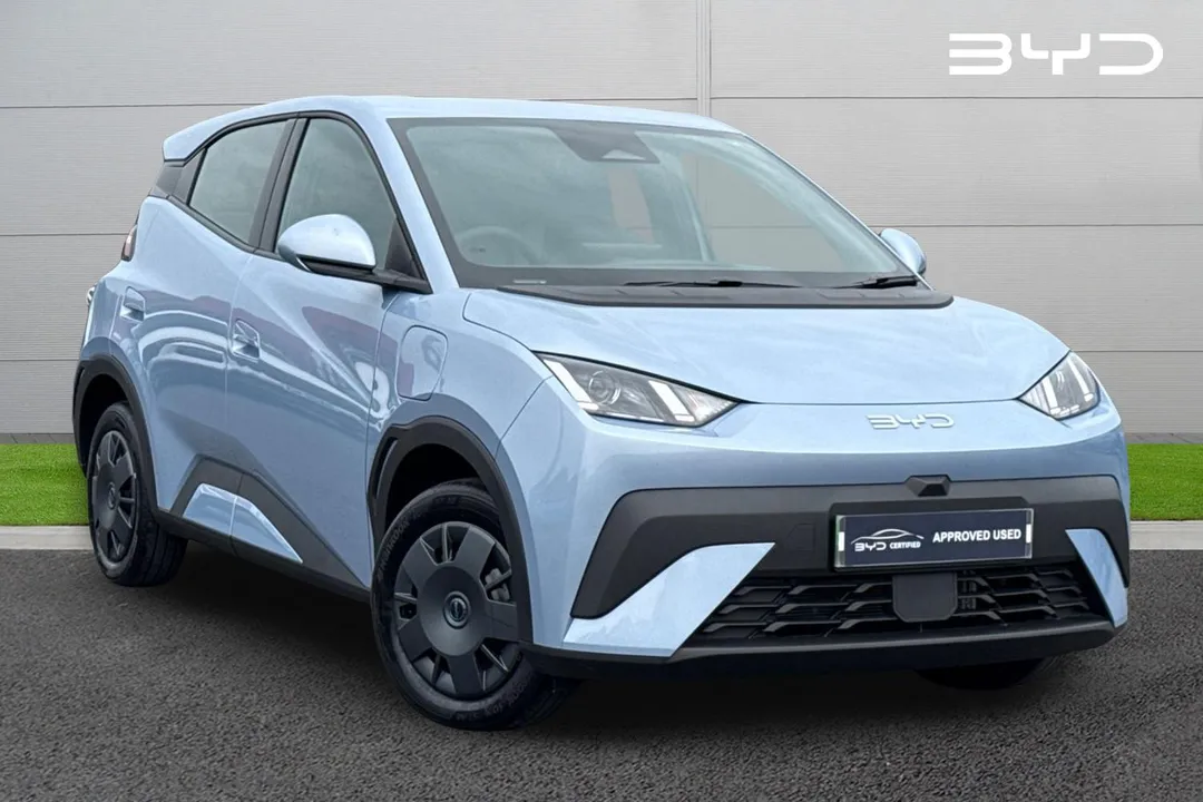 BYD Dolphin Surf video thumbnail