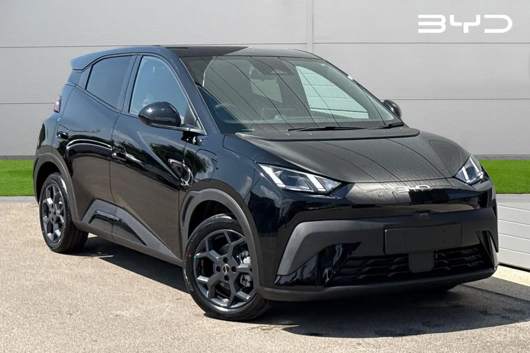 BYD Dolphin Surf video thumbnail