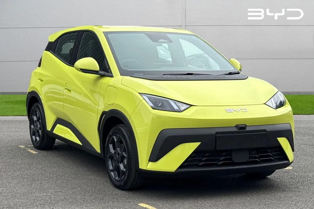 BYD Dolphin Surf video thumbnail