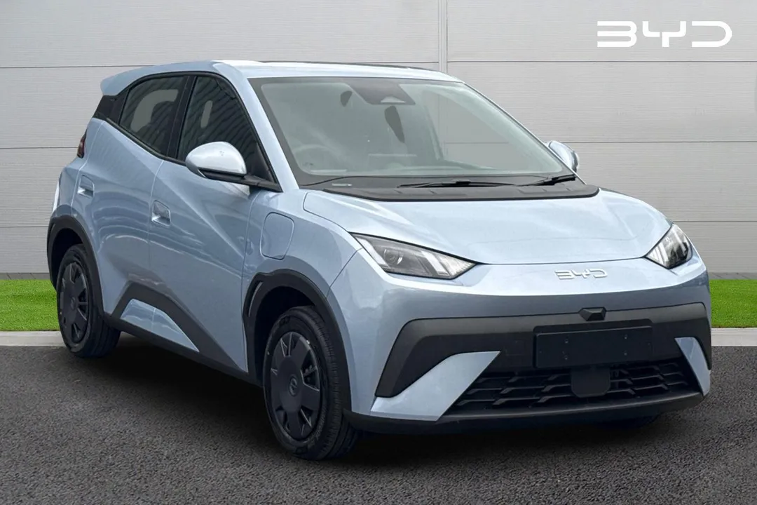 BYD Dolphin Surf video thumbnail