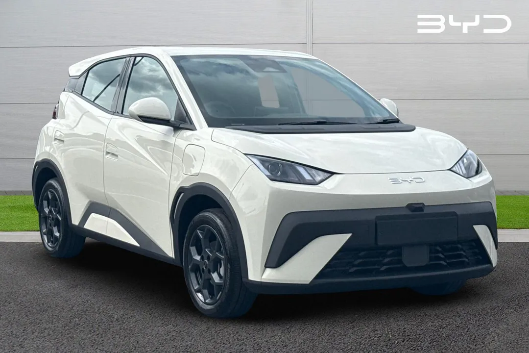 BYD Dolphin Surf video thumbnail