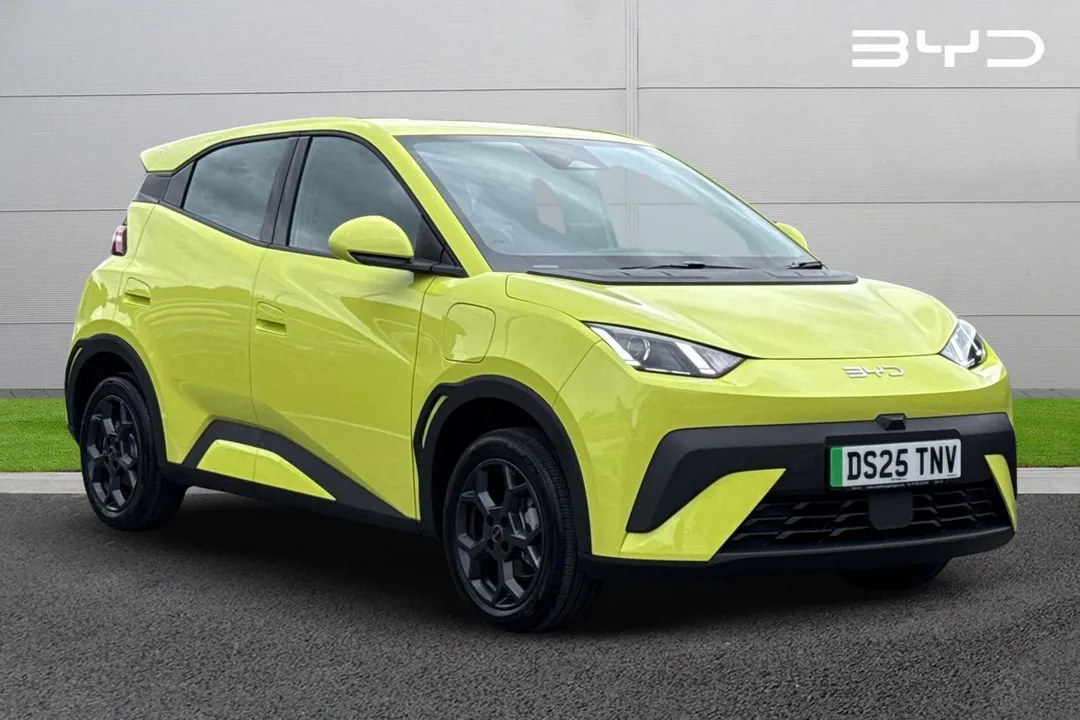 BYD Dolphin Surf video thumbnail