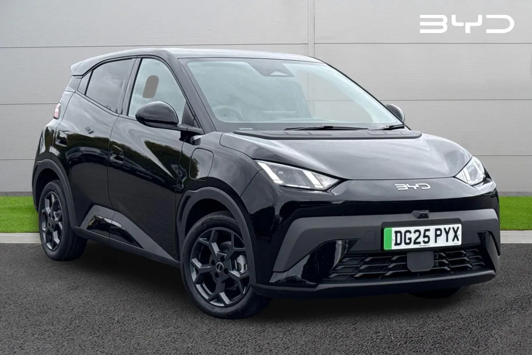 BYD Dolphin Surf video thumbnail