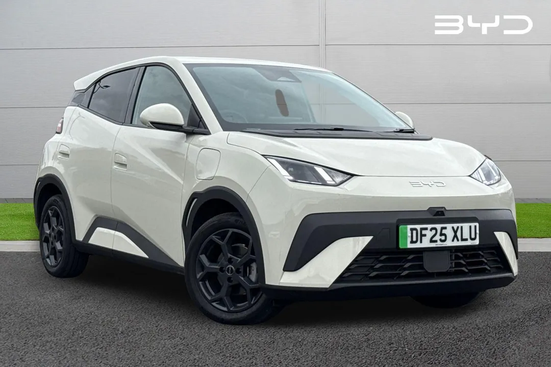 BYD Dolphin Surf video thumbnail