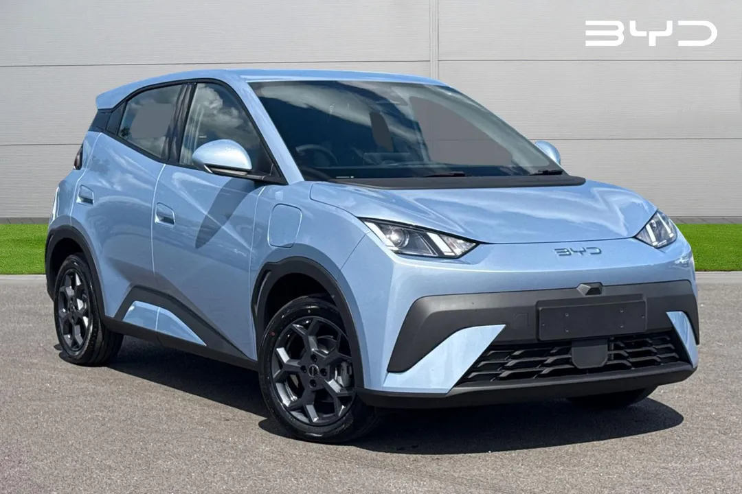 BYD Dolphin Surf video thumbnail