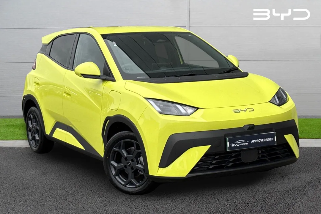 BYD Dolphin Surf video thumbnail