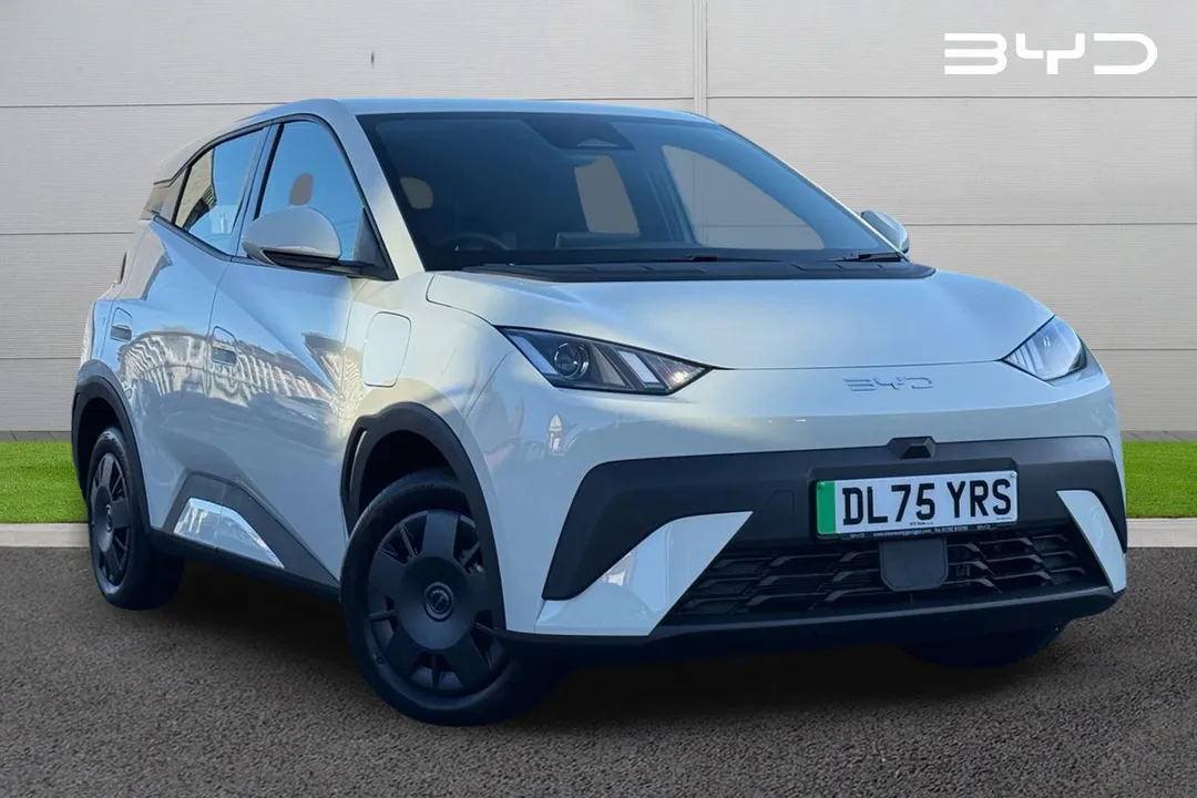 BYD Dolphin Surf video thumbnail