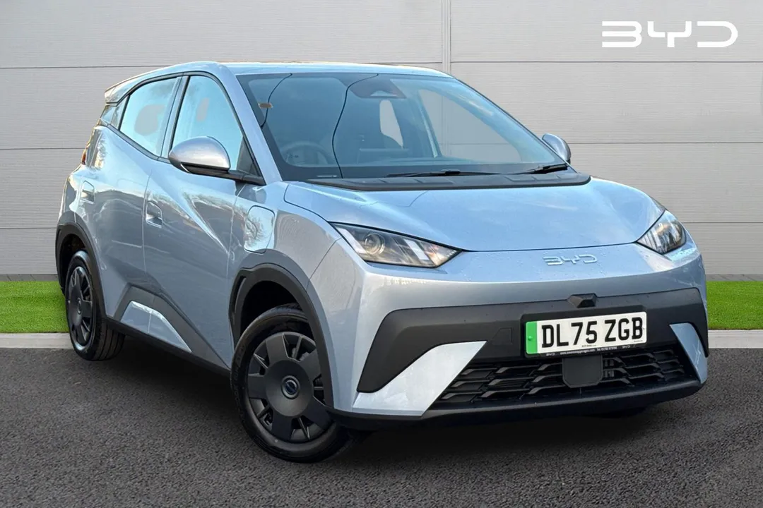 BYD Dolphin Surf video thumbnail