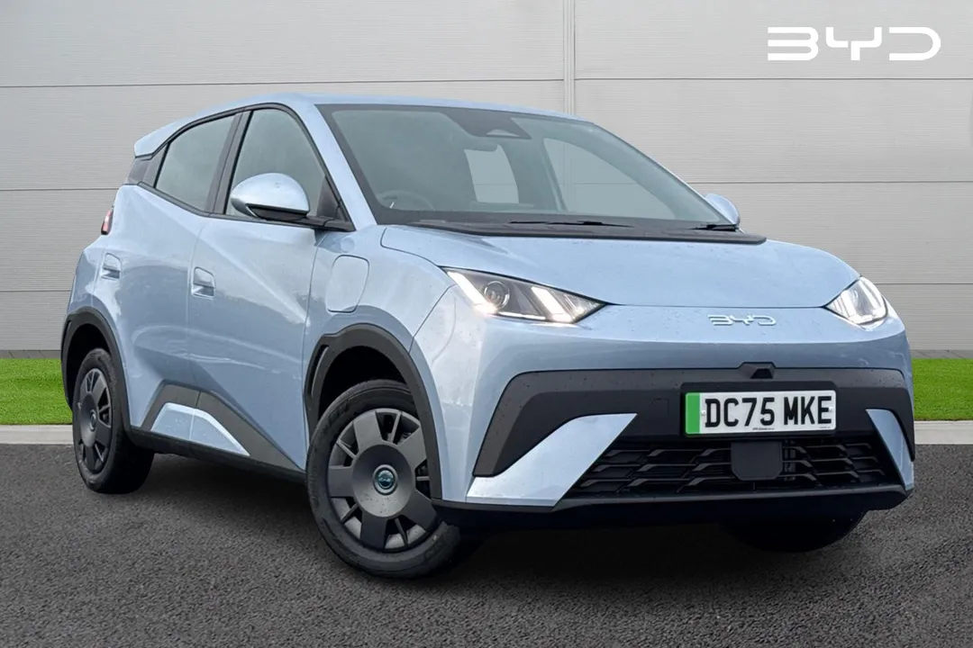 BYD Dolphin Surf video thumbnail