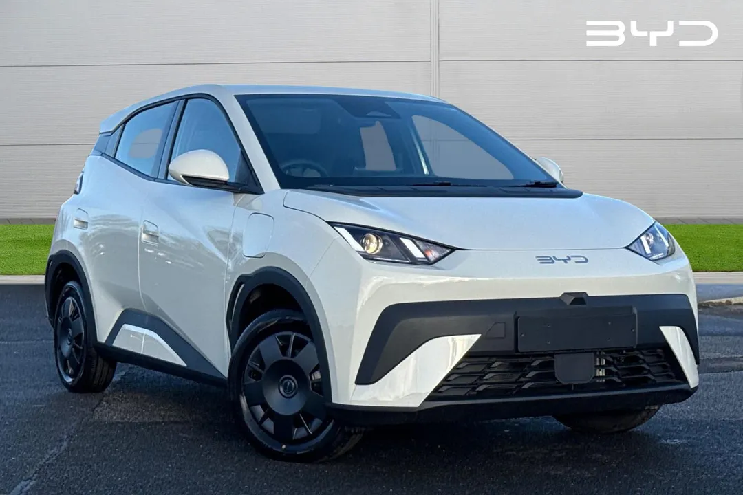 BYD Dolphin Surf video thumbnail