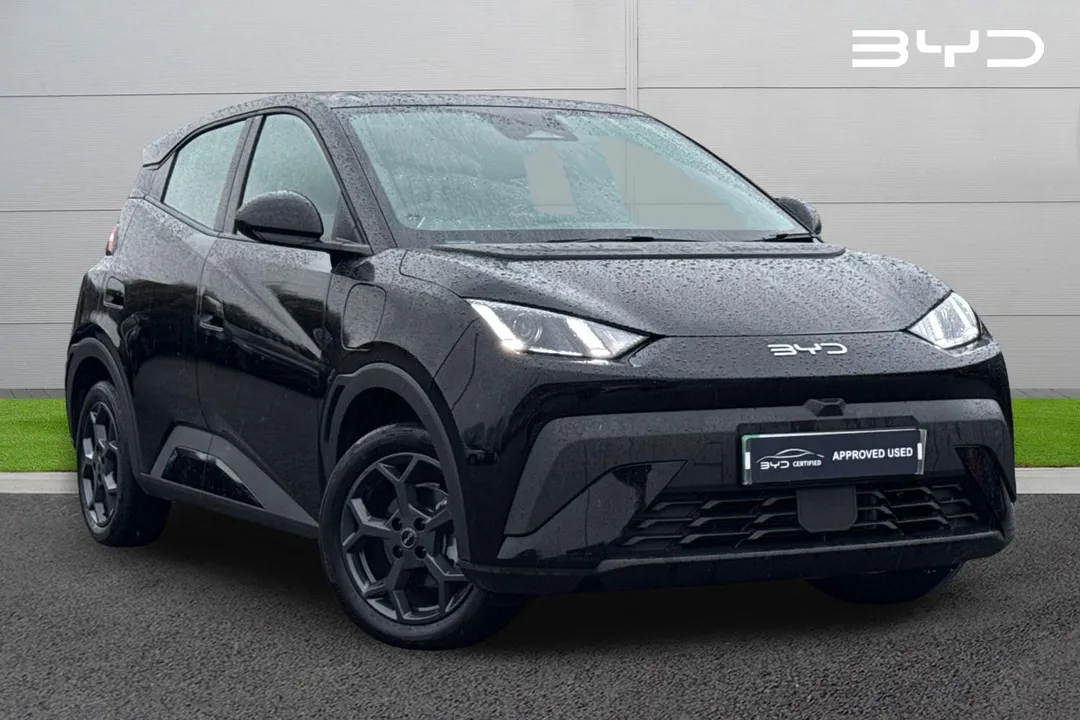 BYD Dolphin Surf video thumbnail