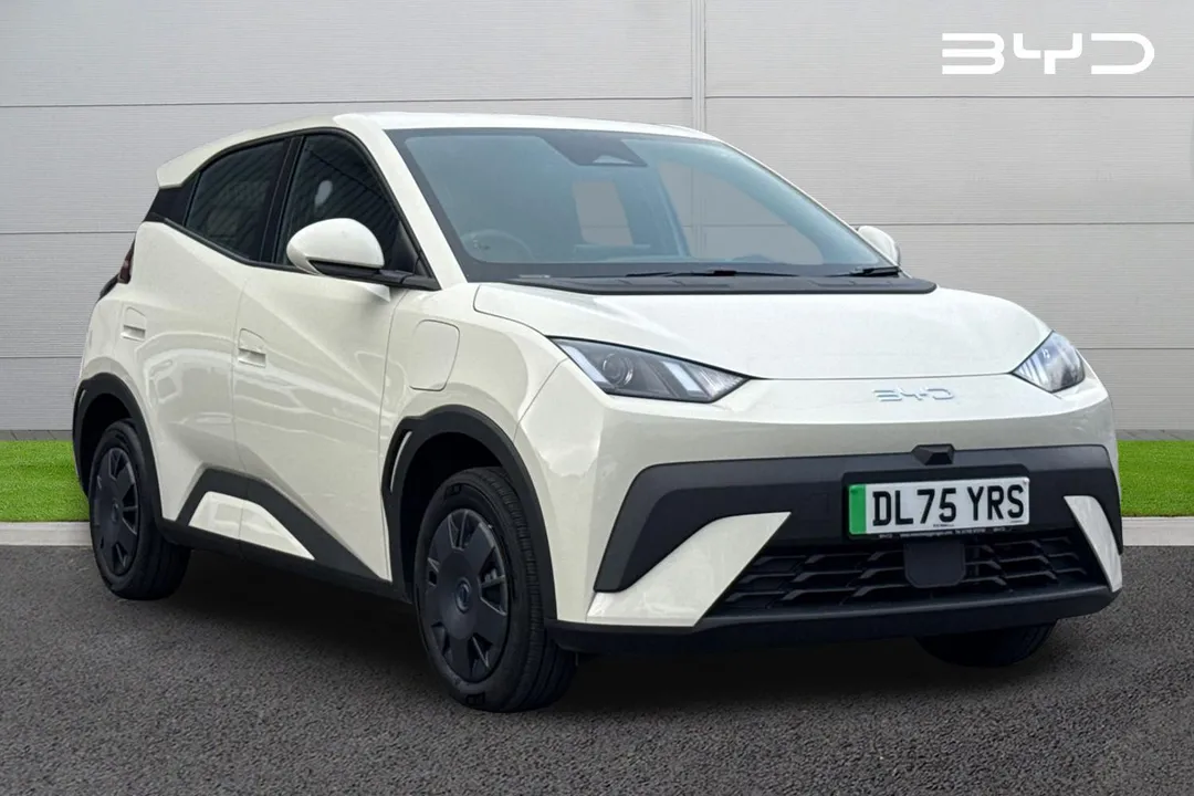 BYD Dolphin Surf video thumbnail