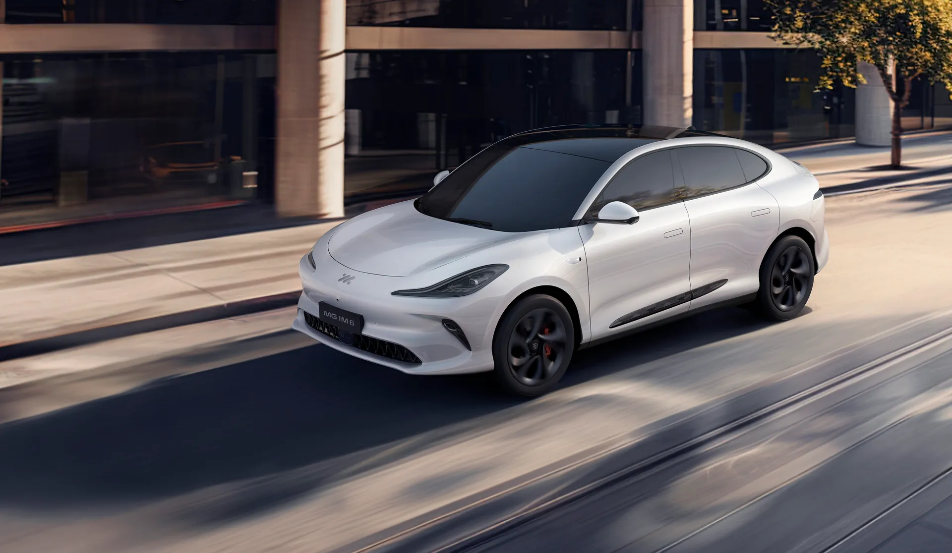  Mg Im6 MG IM6 100 Performance Image #1