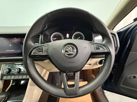 SKODA KODIAQ 2.0 TDI 190 Edition 4x4 5dr DSG [7 Seat]