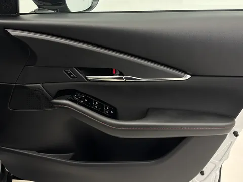 DX75EPE Mazda Cx-30 2.0 e-Skyactiv X MHEV Homura 5dr Auto [Sunroof] Thumbnail #24