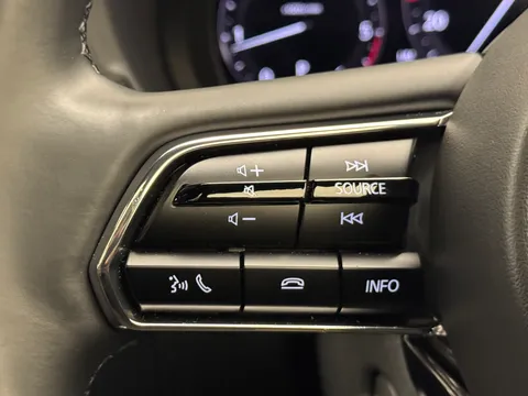 DT25JPJ Mazda Cx-60 3.3d 254 Homura Plus 5dr Auto AWD Thumbnail #29