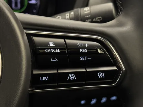 DT25JPJ Mazda Cx-60 3.3d 254 Homura Plus 5dr Auto AWD Thumbnail #30