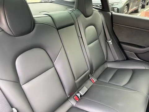 BP21JKO Tesla Model 3 Standard Plus 4dr Auto Thumbnail #10