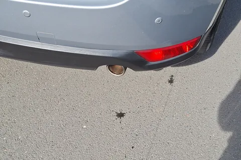 LL69YYG Mazda CX-5 2.0 SE-L Nav+ 5dr Auto Thumbnail #22