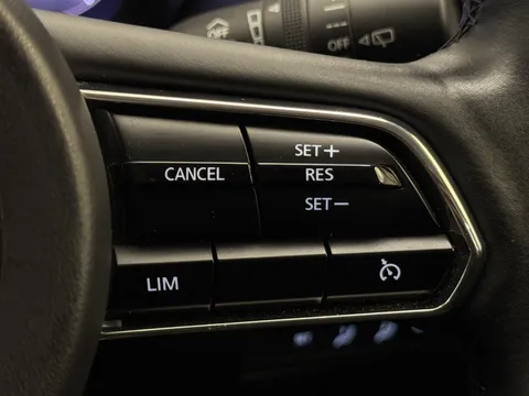 DX73GXT Mazda Cx-60 3.3d 254 Homura 5dr Auto AWD Thumbnail #29