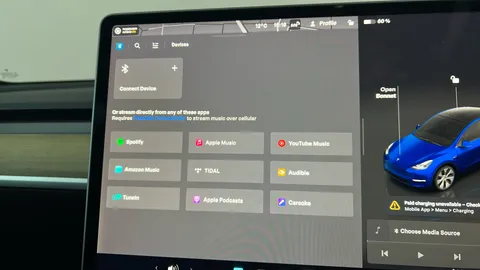 TESLA MODEL Y Long Range AWD Auto