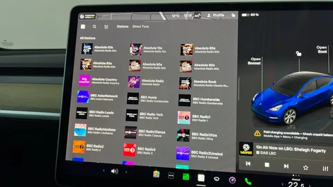 TESLA MODEL Y Long Range AWD Auto