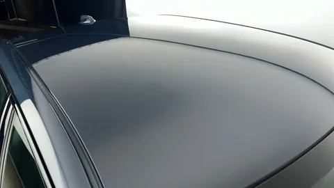 POLESTAR 2 170kW 78kWh Long Range Single motor Auto