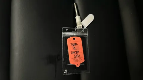 TESLA MODEL 3 Standard Plus Auto