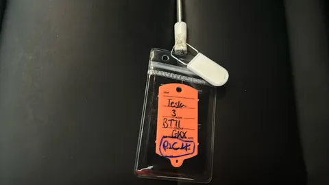 TESLA MODEL 3 Standard Plus Auto