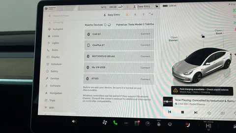 TESLA MODEL 3 RWD Auto