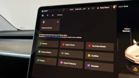 TESLA MODEL Y RWD Auto