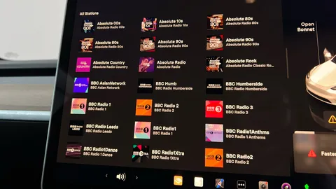 TESLA MODEL Y RWD Auto