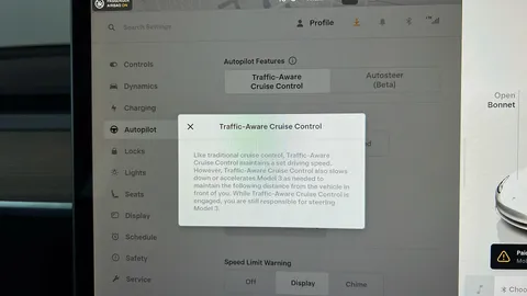 TESLA MODEL 3 RWD Auto