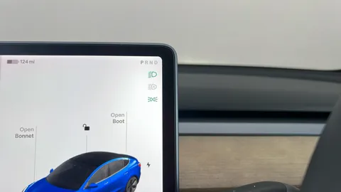 TESLA MODEL 3 Standard Plus Auto