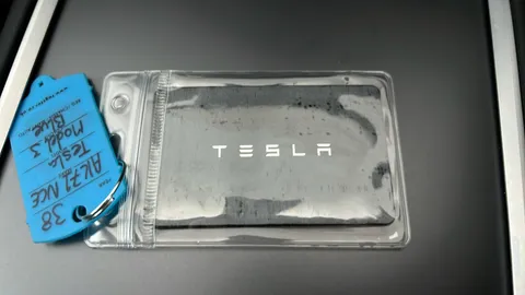 TESLA MODEL 3 Standard Plus Auto