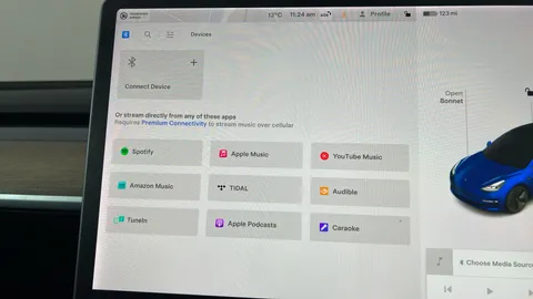 TESLA MODEL 3 Standard Plus Auto
