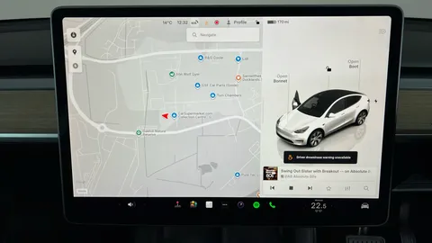 Tesla                     Model Y RWD Auto