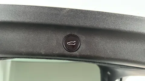 Tesla                     Model Y RWD Auto