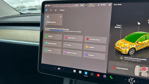 TESLA MODEL Y Long Range AWD Auto