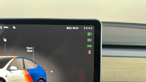 TESLA MODEL Y Performance AWD Auto