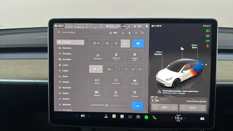 TESLA MODEL Y Performance AWD Auto