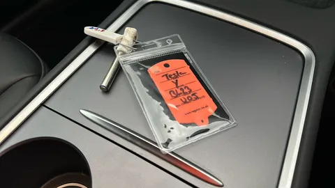 TESLA MODEL Y Performance AWD Auto