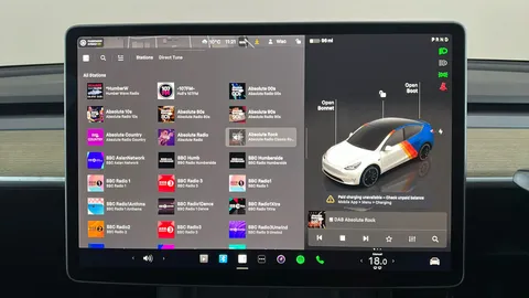 TESLA MODEL Y Performance AWD Auto