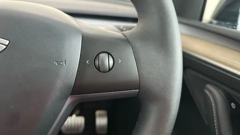 TESLA MODEL Y Performance AWD Auto