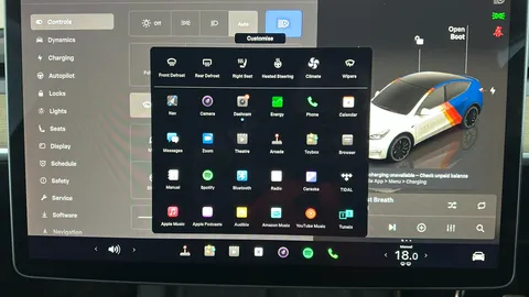 TESLA MODEL Y Performance AWD Auto