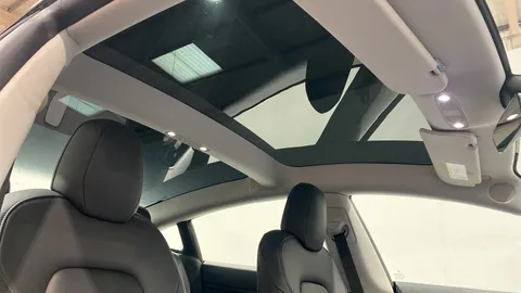 Tesla                     Model 3 Performance AWD [Performance Upgrade] Auto