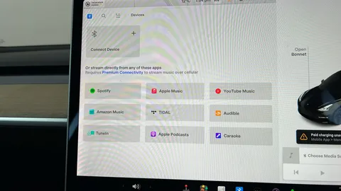 TESLA MODEL 3 Standard Plus Auto