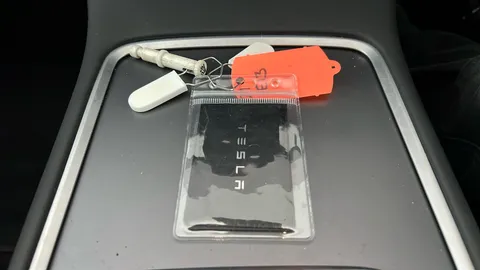 TESLA MODEL 3 Standard Plus Auto