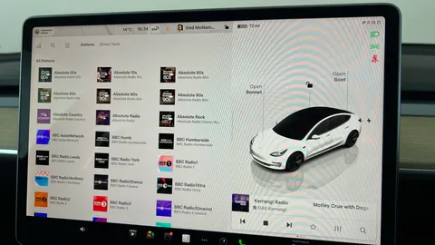 TESLA MODEL 3 Standard Plus Auto
